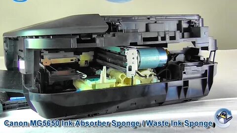 Абсорбер canon