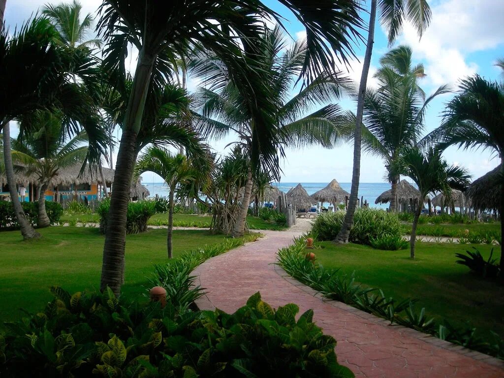 Доминикана 4. Барсело доминикана бич 4. Vik hotel arena blanca 4*. Вик арена бланка доминикана пунта кана. Hamaca garden 4 доминикана.