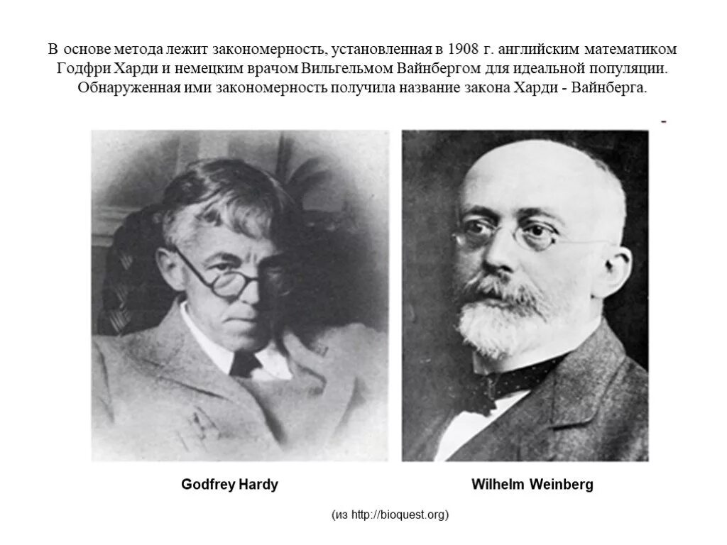 Харди Вайнберга. Математик Харди и Вайнберга. Годфри Харолд Харди. Годфри харди