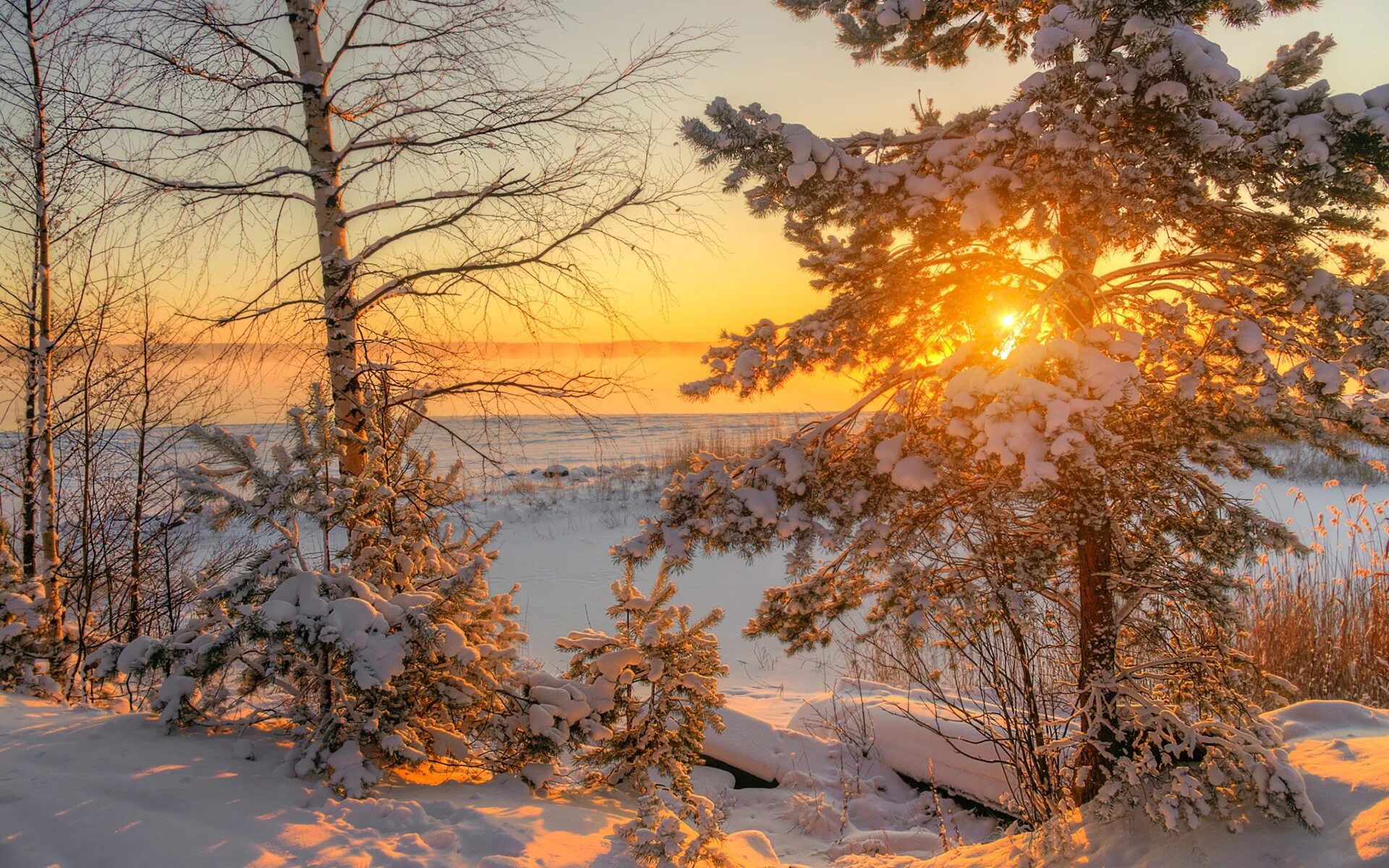 Зима солнце. Зимнее утро. Солнечный зимний день. Зимний пейзаж. Утро природа февраль