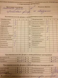 Анализ на чувствительность к антибиотикам и бактериофагам