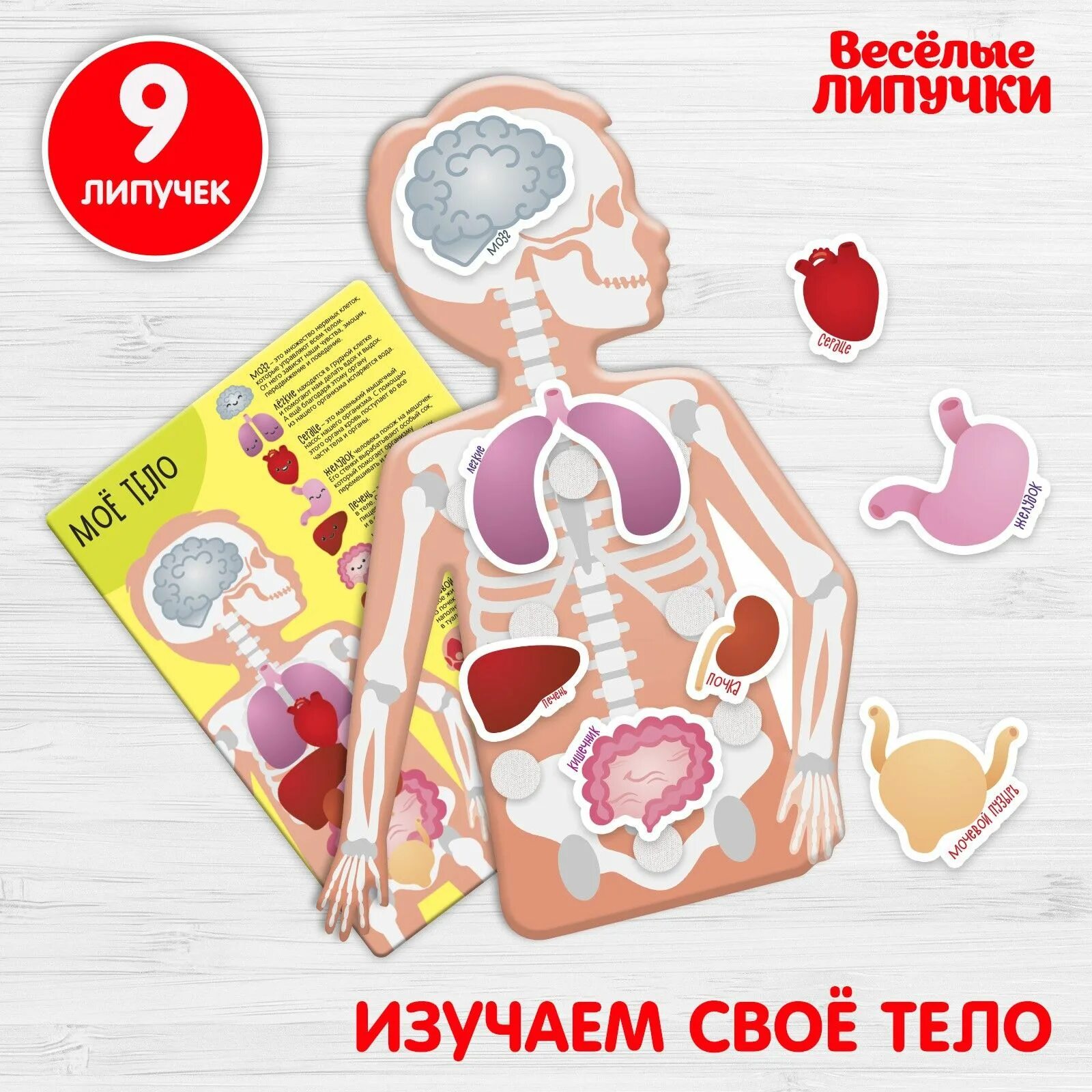 Nurs моя липучка. Игра на липучках тело человека для детей. Игра на липучках мое тело. Игрушка организм человека. Моё тело.