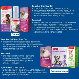 Успокоительное для собак от стресса