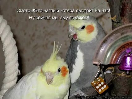 Ну сейчас получше