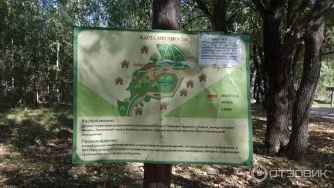 Лесопарковая пущино
