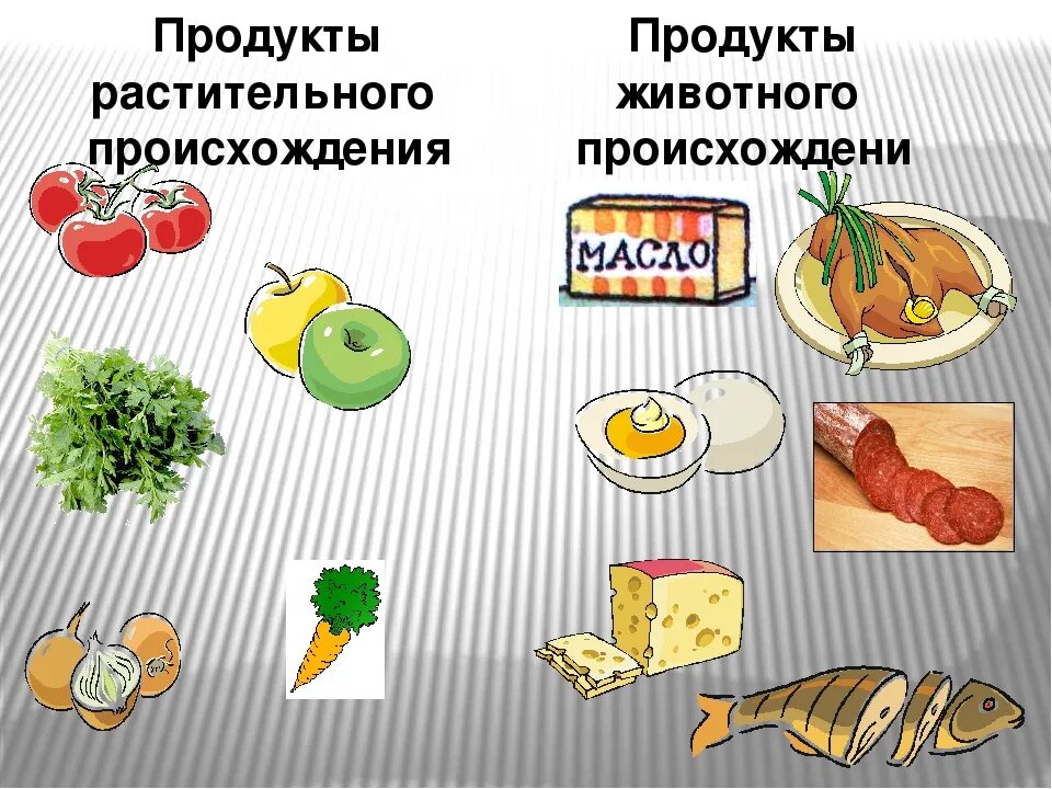 Технология продуктов питания из растительных. Продукты растительного происхождения. Пища растительного и животного происхождения. Дукты растительного происхождения. Продукты растительного происхождения и животного происхождения.