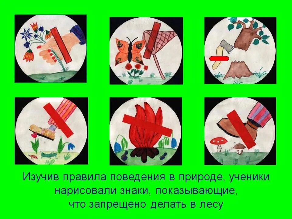 Что запрещается делать в лесу