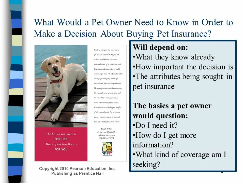 What is Pet insurance. Pets анализ. Declaration of the Pet owner. Pets Rules.