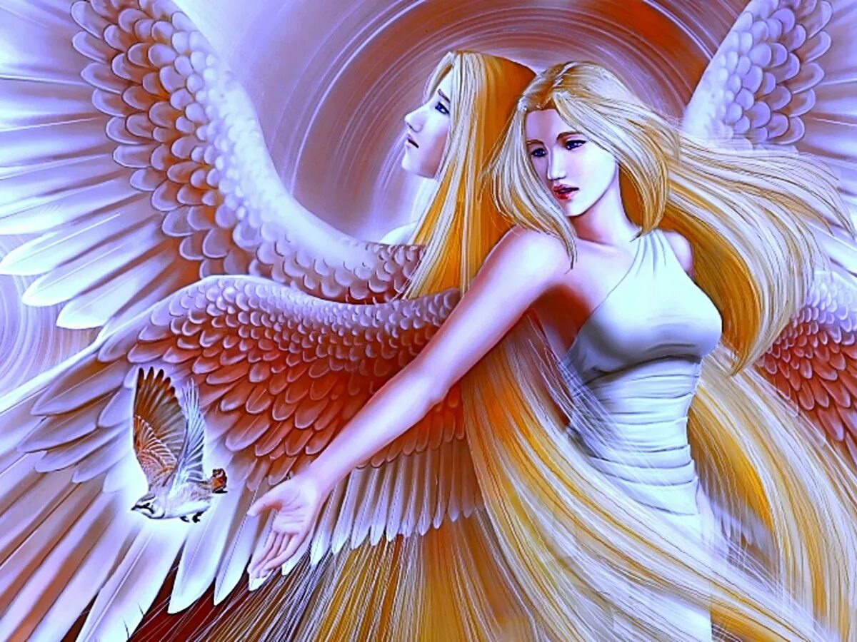 Suriel ангел. Варфрейм ангел. Ангел эльф. R angels. Индийская группа ангел слушать бесплатно без регистрации онлайн.