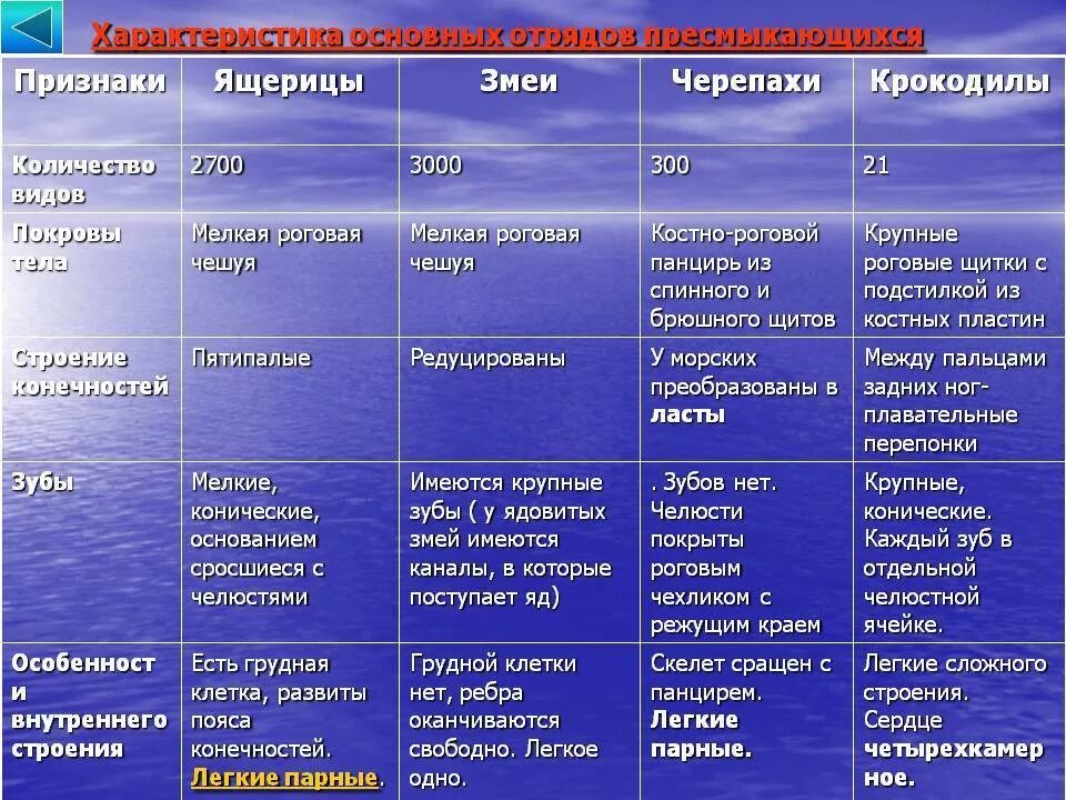 Общая характеристика пресмыкающихся таблица. Биология 7 класс пресмыкающиеся характеристики таблица. Пресмыкающиеся таблица отряд характеристика представители. Сравнительная характеристика пресмыкающихся таблица 7 класс.