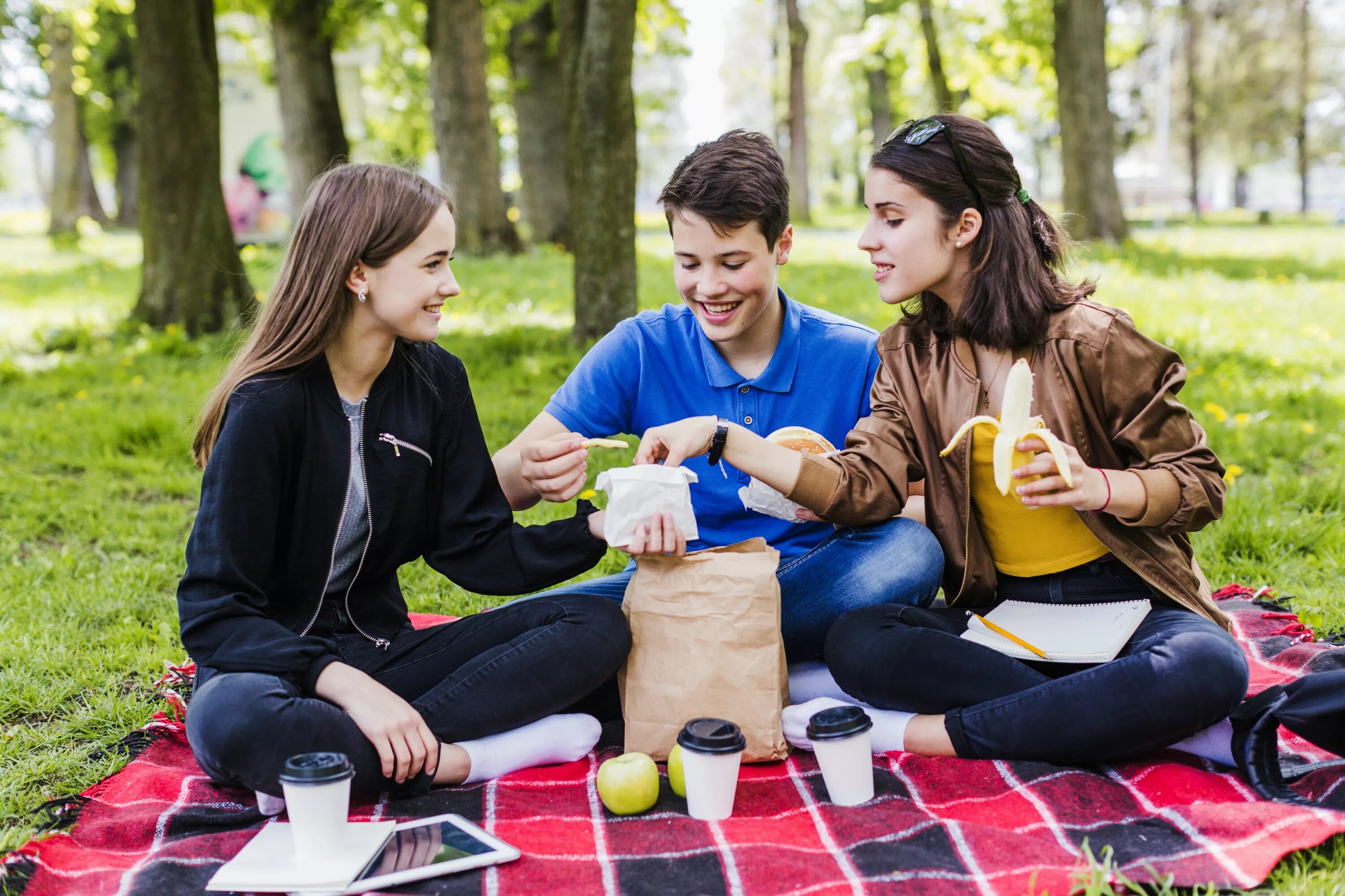 Перекус в парке. Перекус студента. Пикник в парке. Студенты на пикнике.