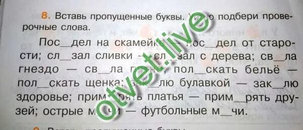 Гнездо проверочное слово 2. Свила гнездо проверочное слово. гнездо проверочное слово. проверочное слово к слову поседеть от старости. посидеть на скамейке проверочное слово.