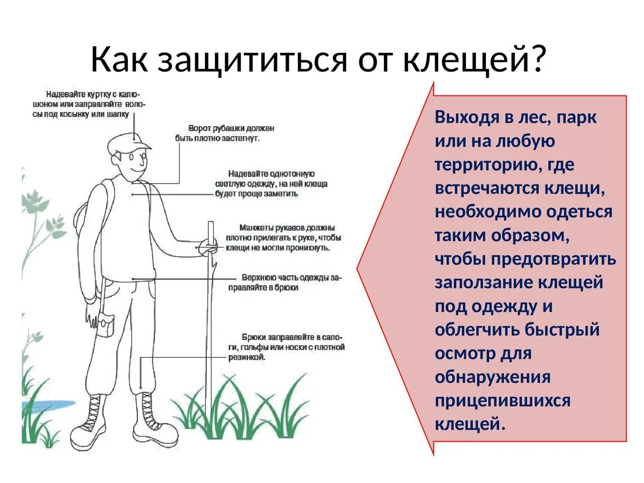 Как защититься от людей. Защитился от клеща. как защититься от клещей. защита от укусов клещей.