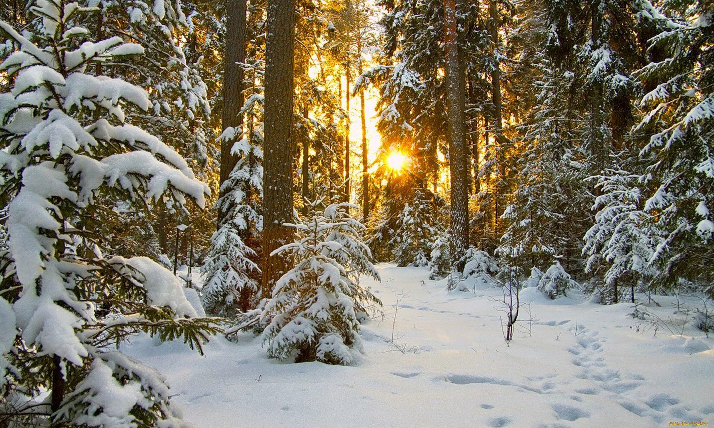 Фонограмма зимы