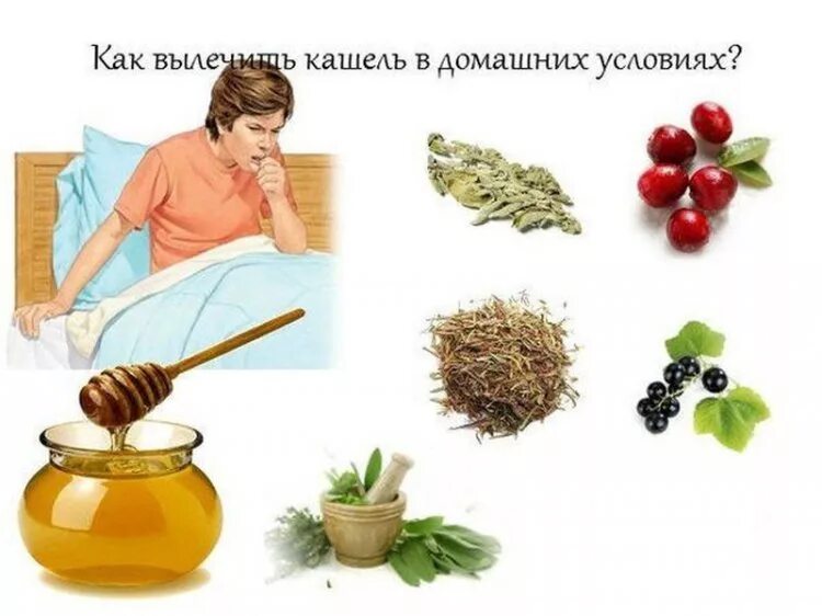 Чем можно вылечить кашель в домашних. Как вылечить кашель. Как вылечить кашель в домашних условиях. Лечить кашель в домашних условиях. Как можно быстро вылечить кашель в домашних условиях.