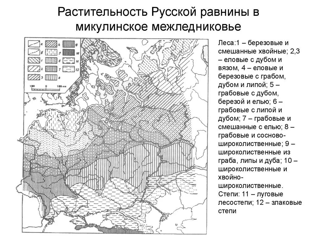 Четвертичные отложения Восточно европейской равнины карта. Микулинское межледниковье природные зоны. Микулинское межледниковье карта. Микулинское межледниковье русской равнины. Тип почвы русской равнины