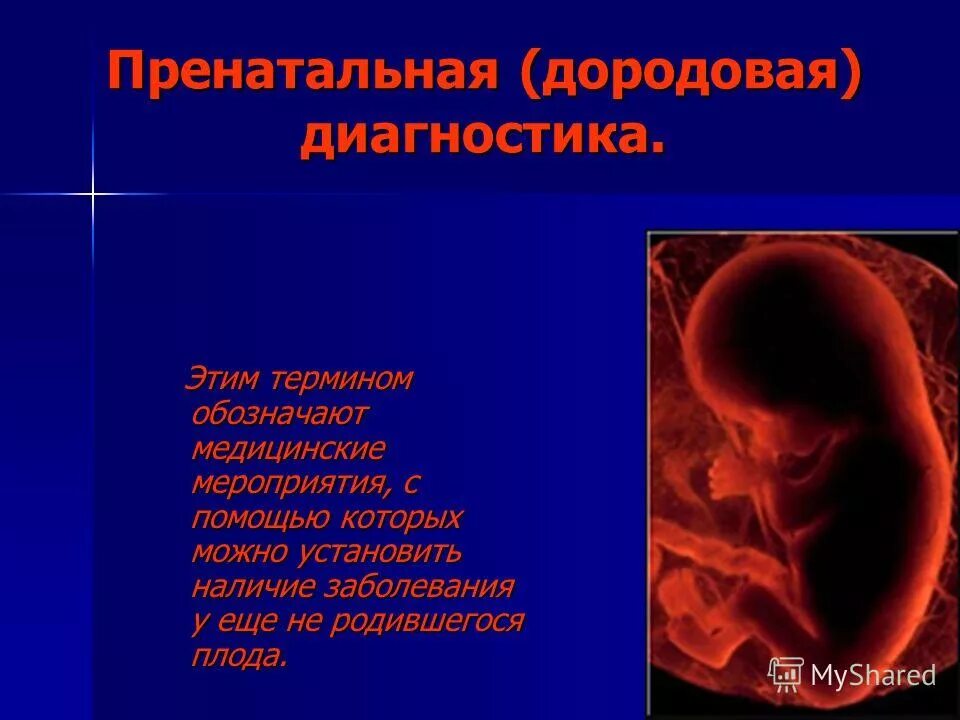 пренатальная общность это