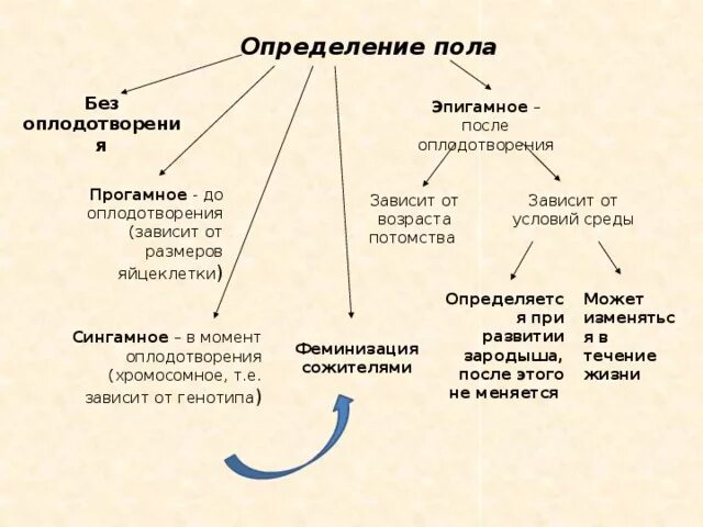 Какие вам известны механизмы определения пола. Типы определения пола прогамное Эпигамное. Постгамное определение пода. Способы определения пола. Эпигамное определение пола примеры.