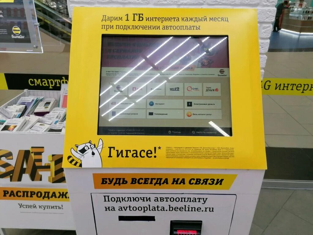 терминал билайн