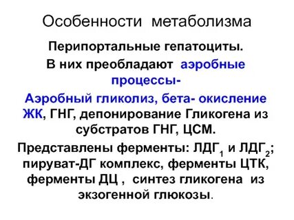Особенности метаболизма