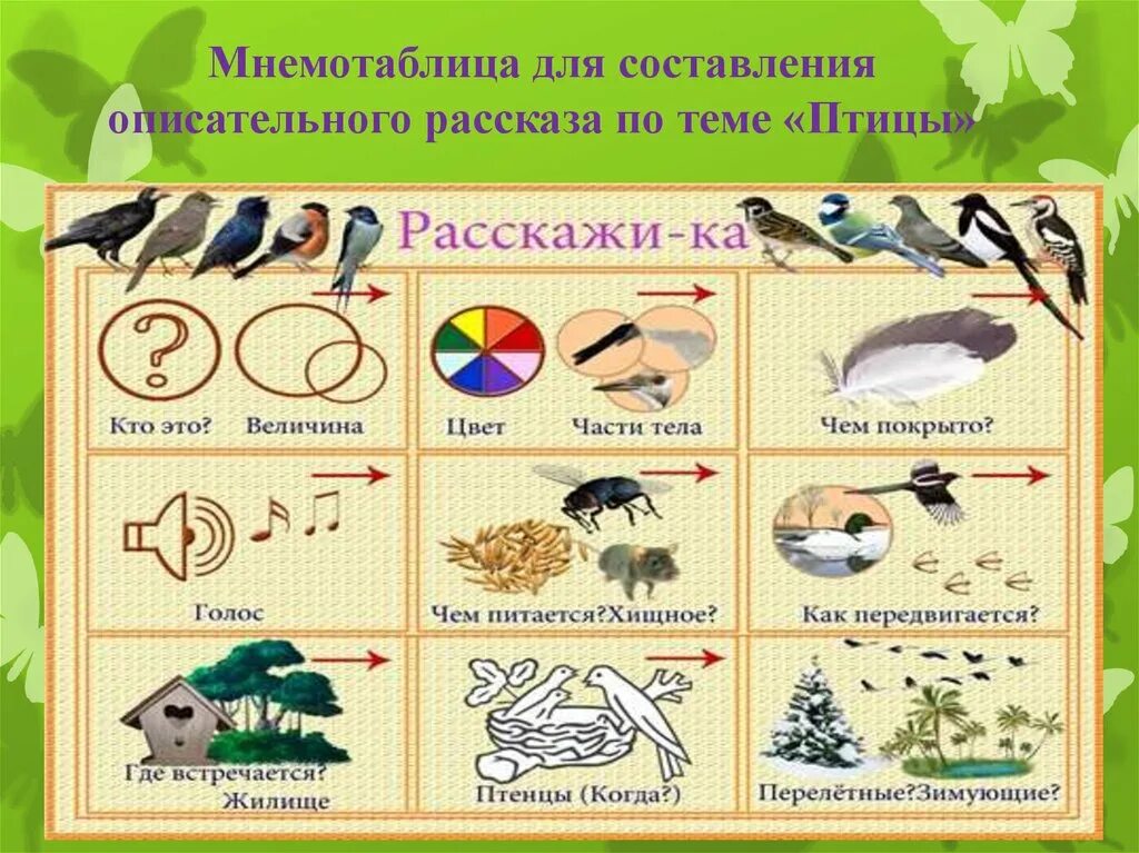 Конспект развитие речи зимующие птицы подготовительная группа. Лексическая тема перелетные птицы. перелетные птицы подготовительная группа. мнемотаблица птицы. схема описания птицы для дошкольников.