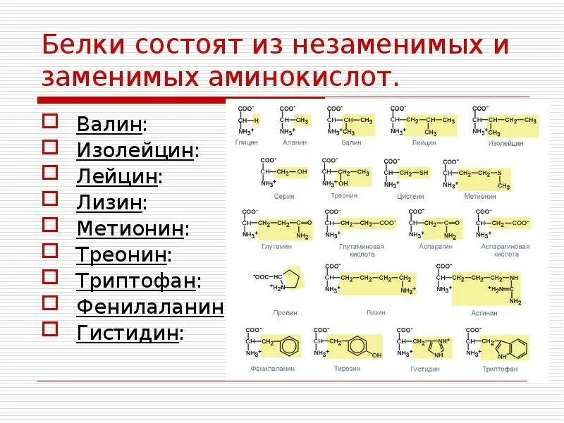 Белок из аминокислот. Из каких аминокислот состоят белки. Белки состоят из 20 аминокислот. Аминокислоты формулы. 20 Аминокислот заменимые и незаменимые.