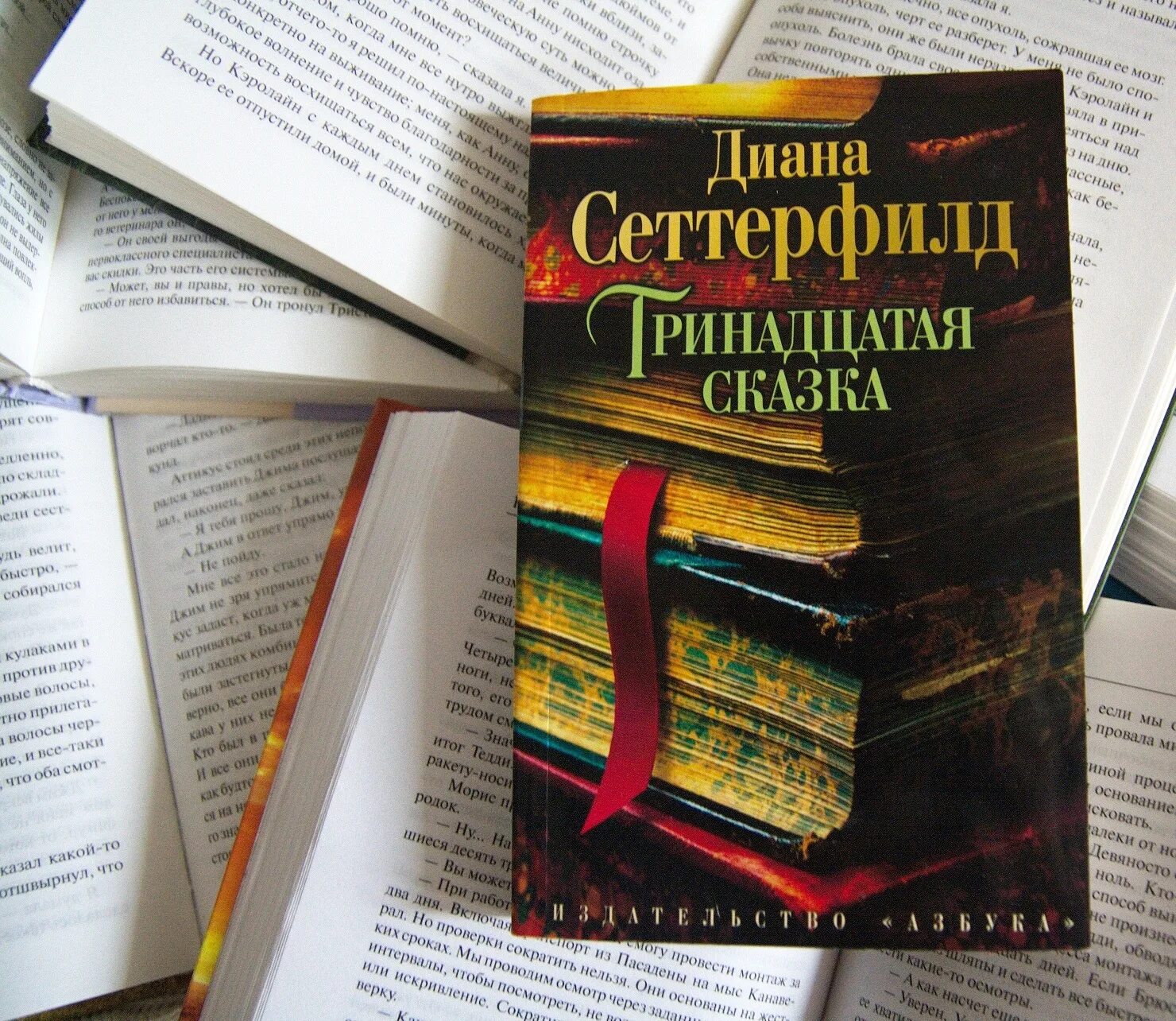 13 сказка отзывы. 13 сказка отзывы. Тринадцатая сказка обложка книги. 13 книга-сказка. Сеттерфилд д.