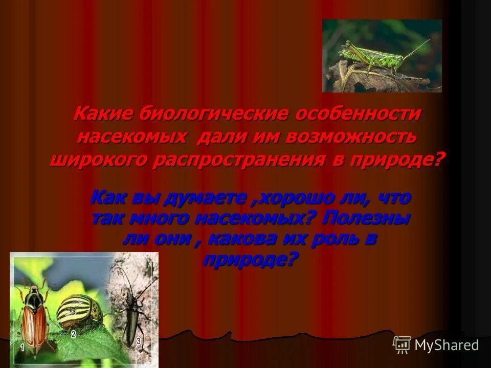 Какова их