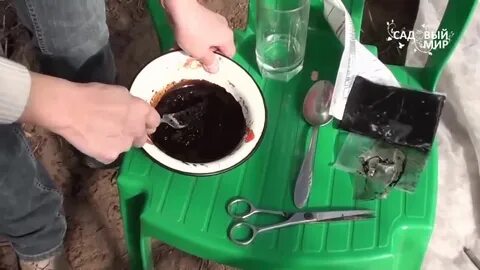 Фитоспорин перед посадкой в теплице