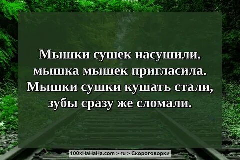 Мышка сушек насушила