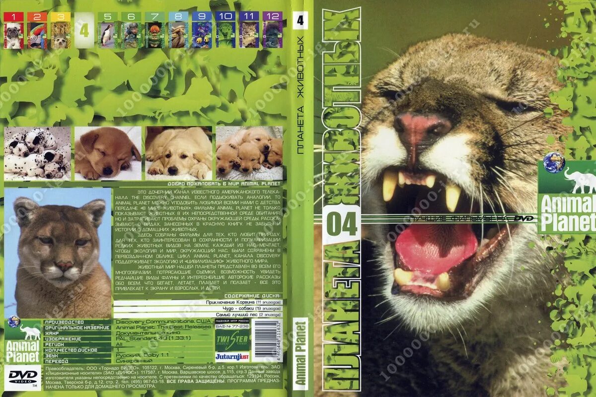 Планета животных книги. Animal Planet диск. DVD Планета животных. DVD диски про животных. Диски про животных animal Planet.