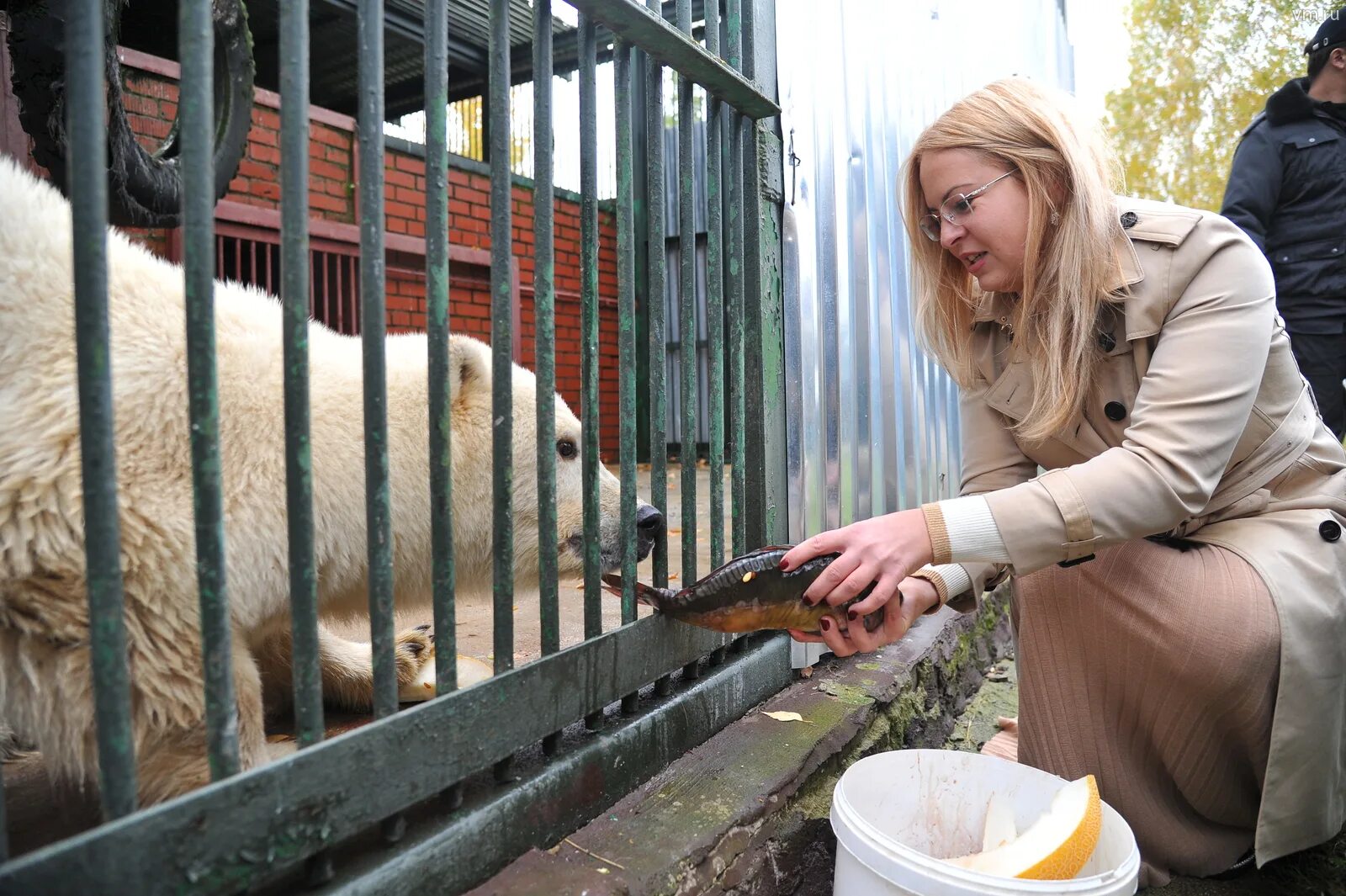 Работник зоопарка. Смотритель зоопарка. Служитель зоопаркам. Служитель зоопаркам. Служитель зоопаркам.