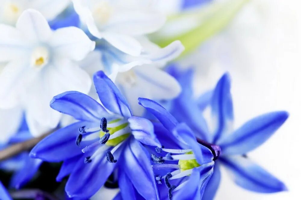 март 2023 картинки. с первым днем весны. март 2023 картинки. март 2023 картинки. фон для календаря.