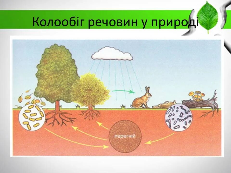 Изготовить модель демонстрирующую круговорот веществ. Колообіг речовин. модель круговорота веществ рисунок. круговорот веществ в природе рисунок. модель круговорота веществ в природе 3 рисунок.
