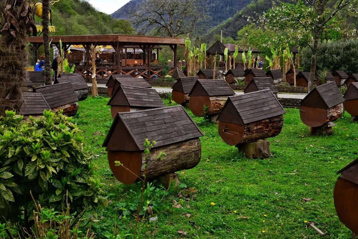 Сочи пчеловод гамзат. Улей сочи. Улей сочи. Медовая пасека красная поляна. Медовая пасека красная поляна.