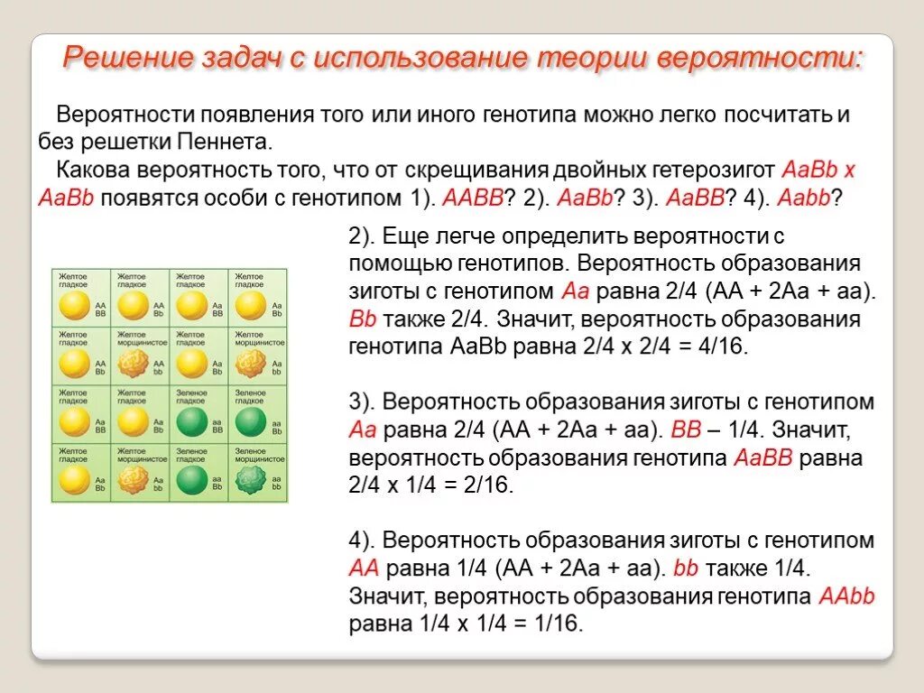 Каков генотип особи аа. Решение задач на генетике по вероятность. 2 Закон Менделя дигибридное скрещивание. Задачи по генетике 3 закон Менделя. Задачи по генетике по 3 закону Менделя.