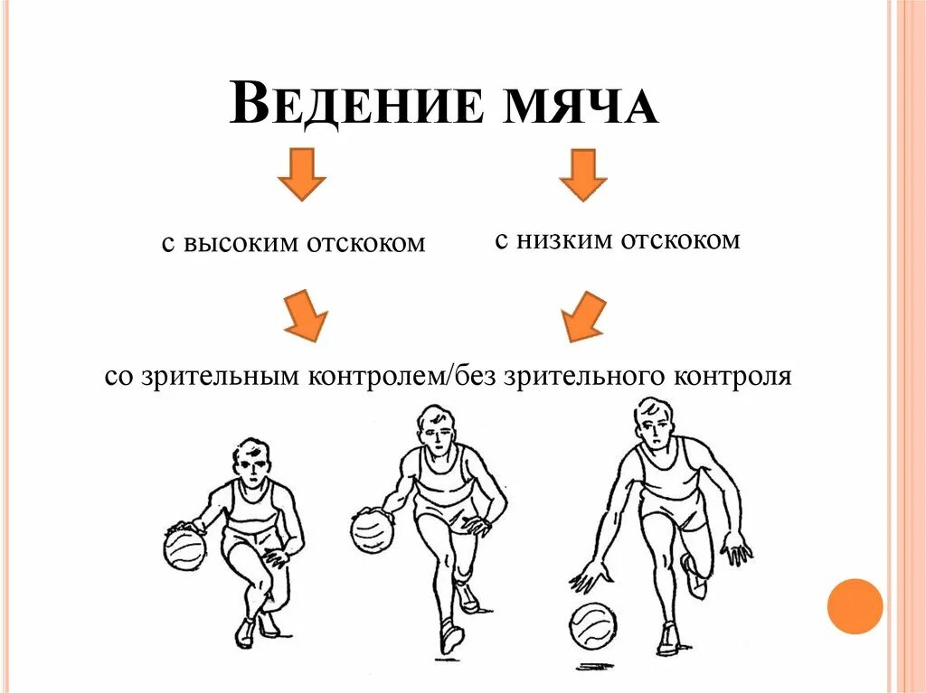 Техника ведения баскетбольного мяча. Ведение с высоким отскоком мяча в баскетболе. Положение игрока при ведении мяча в баскетболе. Ведение с низким отскоком мяча. Правила ведения в баскетболе