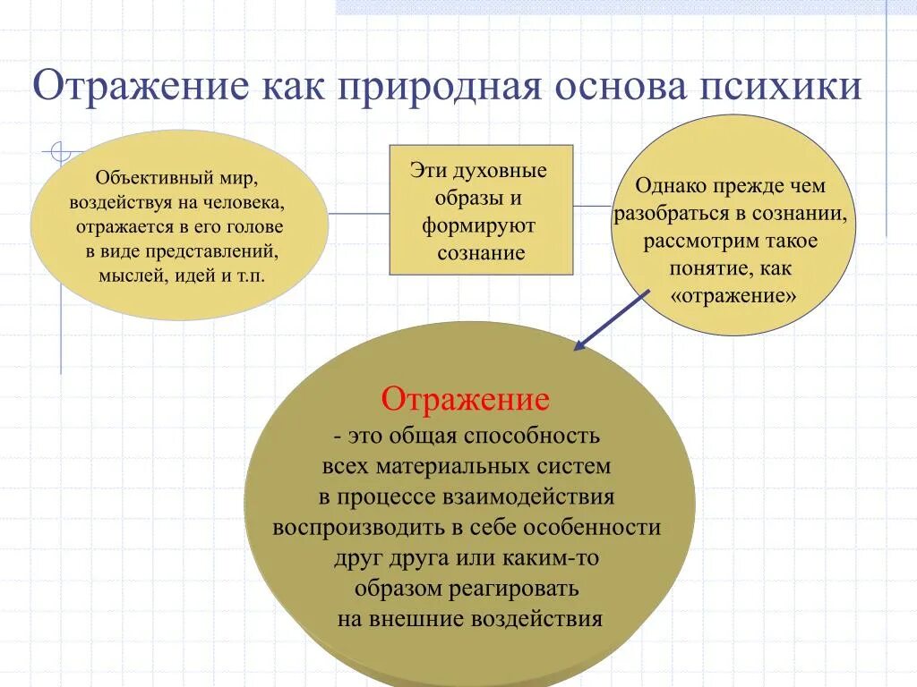 Естественная основа общества. Понятие отражения и психики. Отражение в философии. Понятие отражения в философии.