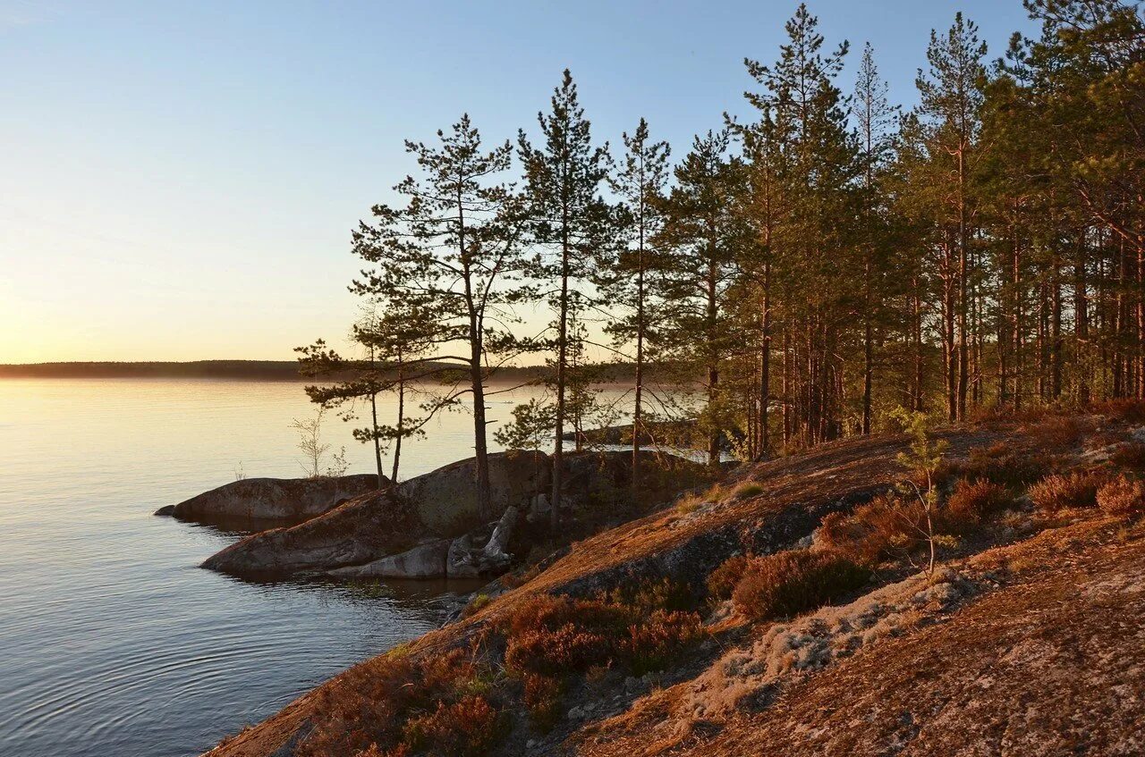 Берег Онежского озера, Карелия. Остров Сосновец Онежское озеро. Озеро Онега Карелия. Природа Карелии Онежское озеро. Онежское озеро старое