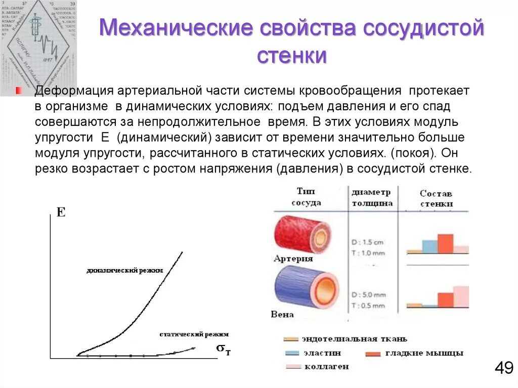 Механическое свойство физика. Механические свойства кровеносных сосудов физика. Механические свойства тканей кровеносных сосудов физика. Механические свойства стенок кровеносных сосудов физика. Механическое напряжение стенки кровеносного сосуда.