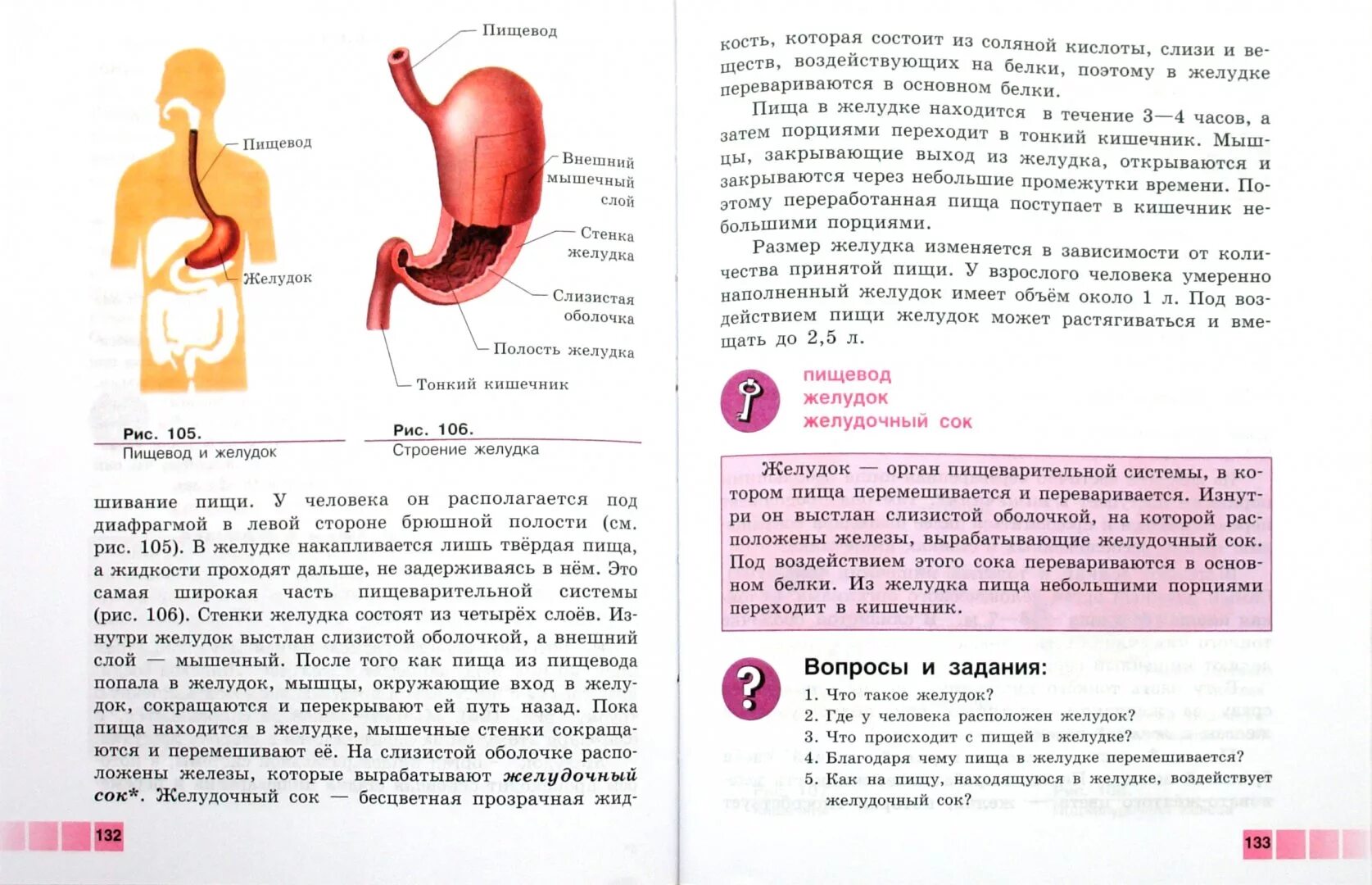 Соломина биология 9 класс. Биология 9 класс Соломина шевырёва. Биология 9 класс ОВЗ учебник. Биология 9 класс Соломина шевырёва учебник.