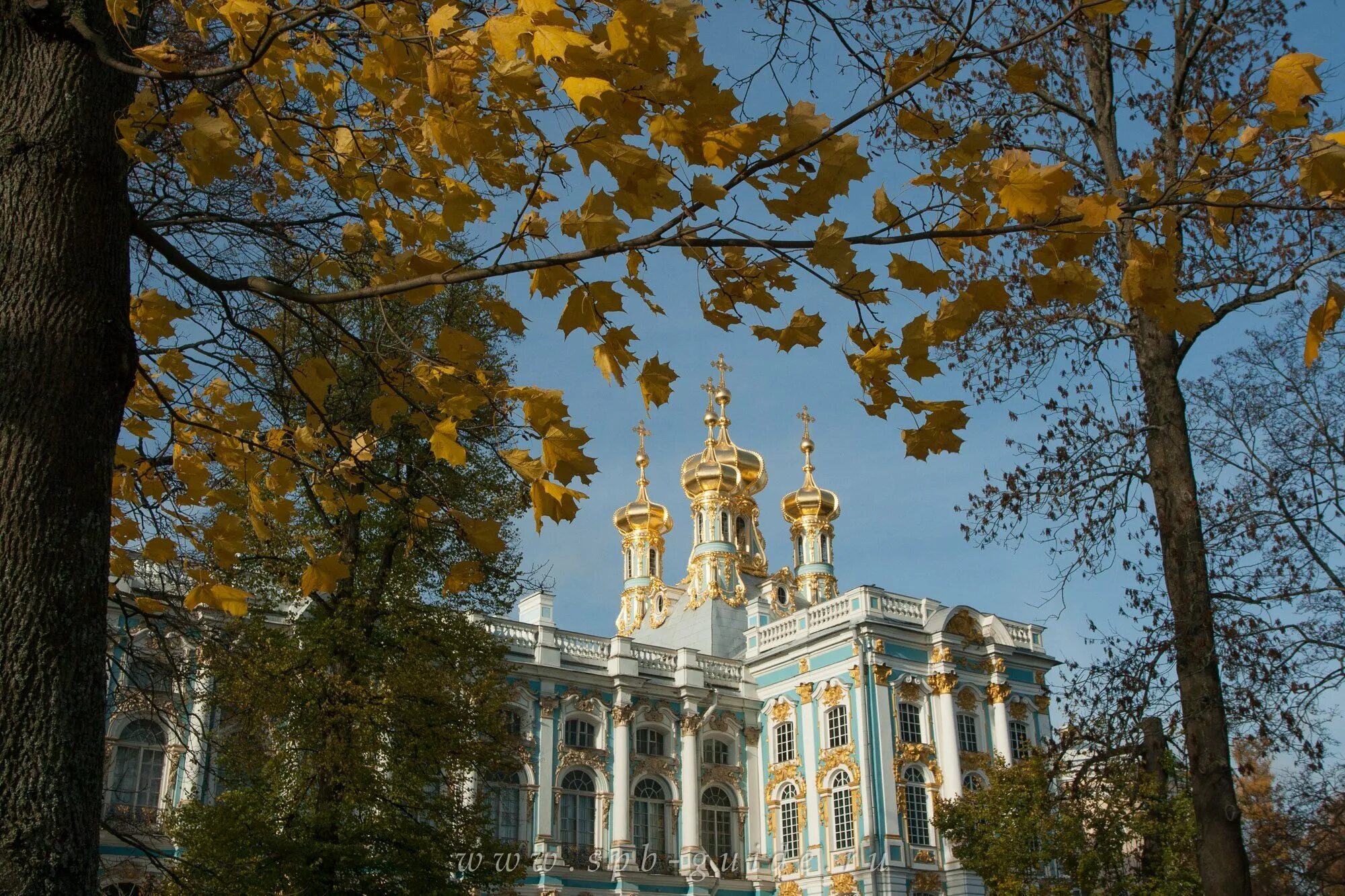 Царскосельский лицей Екатерининский парк. Екатерининский дворец в Царском селе осень. Екатерининский парк Царское село осень. Дворцовая Церковь Царское село.