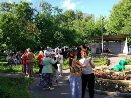 Погода бирюлево