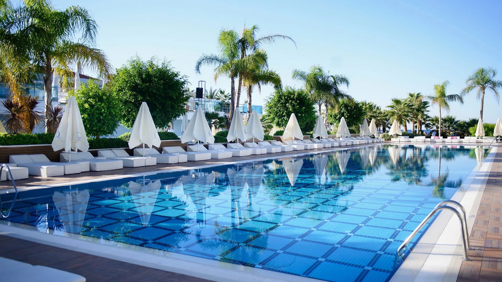 Q premium. Отель q Premium Resort. Q премиум Резорт Алания. Турция,Окурджалар,q Premium Resort. Hotel q Premium Resort 5 Турция.