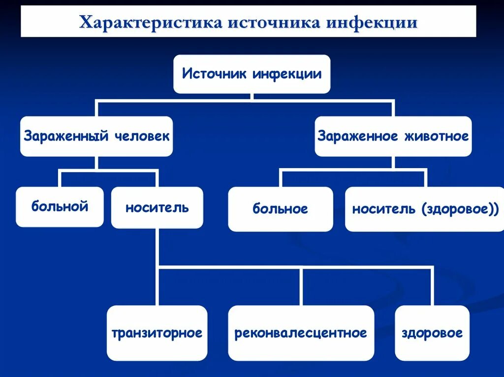 Возможные источники инфекции. Характеристика источников инфекции. Характеристика источников инфекц. Источник инфекции схема. Особенности источников инфекций.