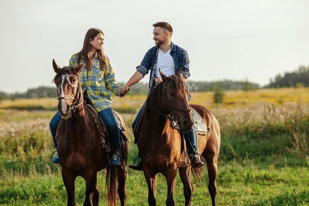 суздаль прогулка на лошадях. суздаль кареты. тачанка в суздале. лесные прогулки на лошадях. катание на лошадях суздаль.