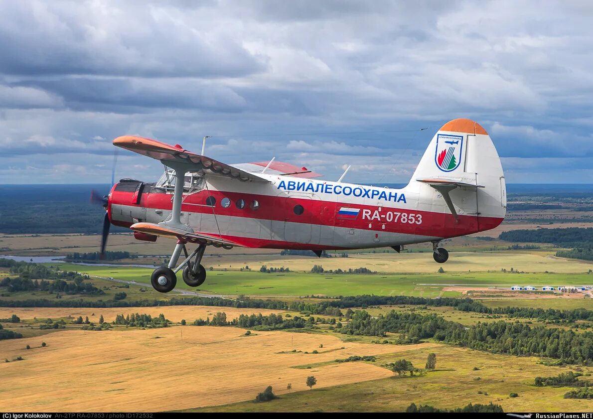 Первый советский пожарный самолет. Авиалесоохрана самолеты ан2. АН-2 Авиалесоохрана. АН-2 пожарный. АН-2 Авиалесоохрана фото самолета.