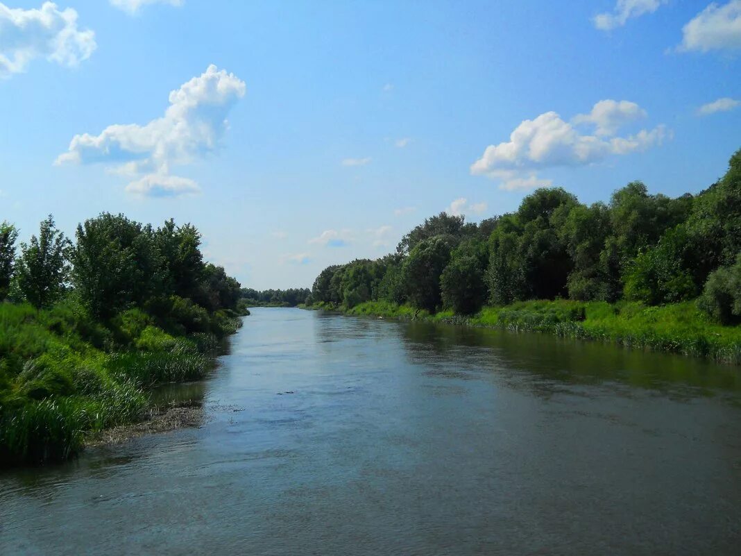 Речка ворона. Ворона (приток Хопра). Река ворона в Уварово. Уварово Тамбовская область речка ворона. Река ворона Тамбовской области.