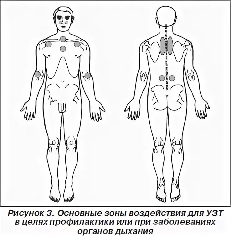 Карта больного 044 у. Изображение человека для физиотерапии. Человек для карты физиотерапии. Форма 44у для физиотерапии. Карта больного лечащегося в физиотерапевтическом отделении.