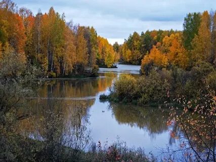 Омская область р